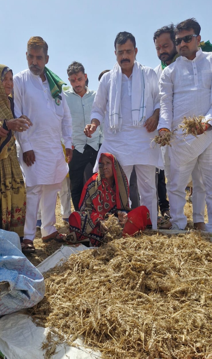 ओलावृष्टि