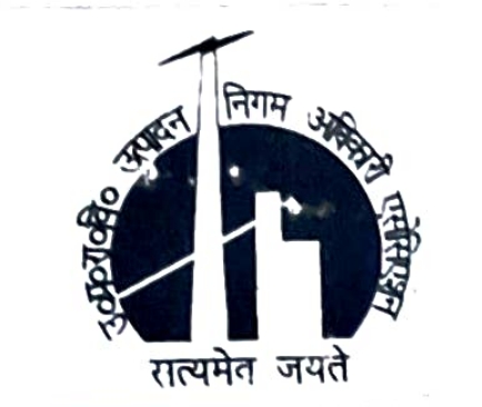 बिजली निगम