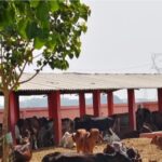 प्रयागराज