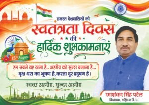 रमाशंकर सिंह पटेल, विधायक